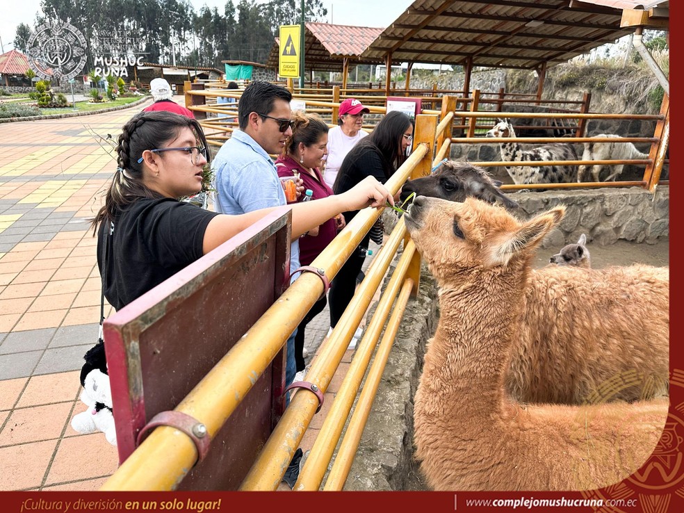 Tula BDSM klubi jurnali