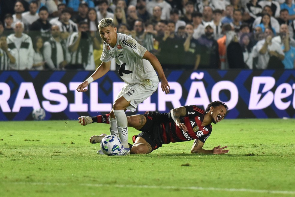 Flamengo caiu de rendimento aps sada de Allan contra o Santos  Foto: Jota Erre / AGIF