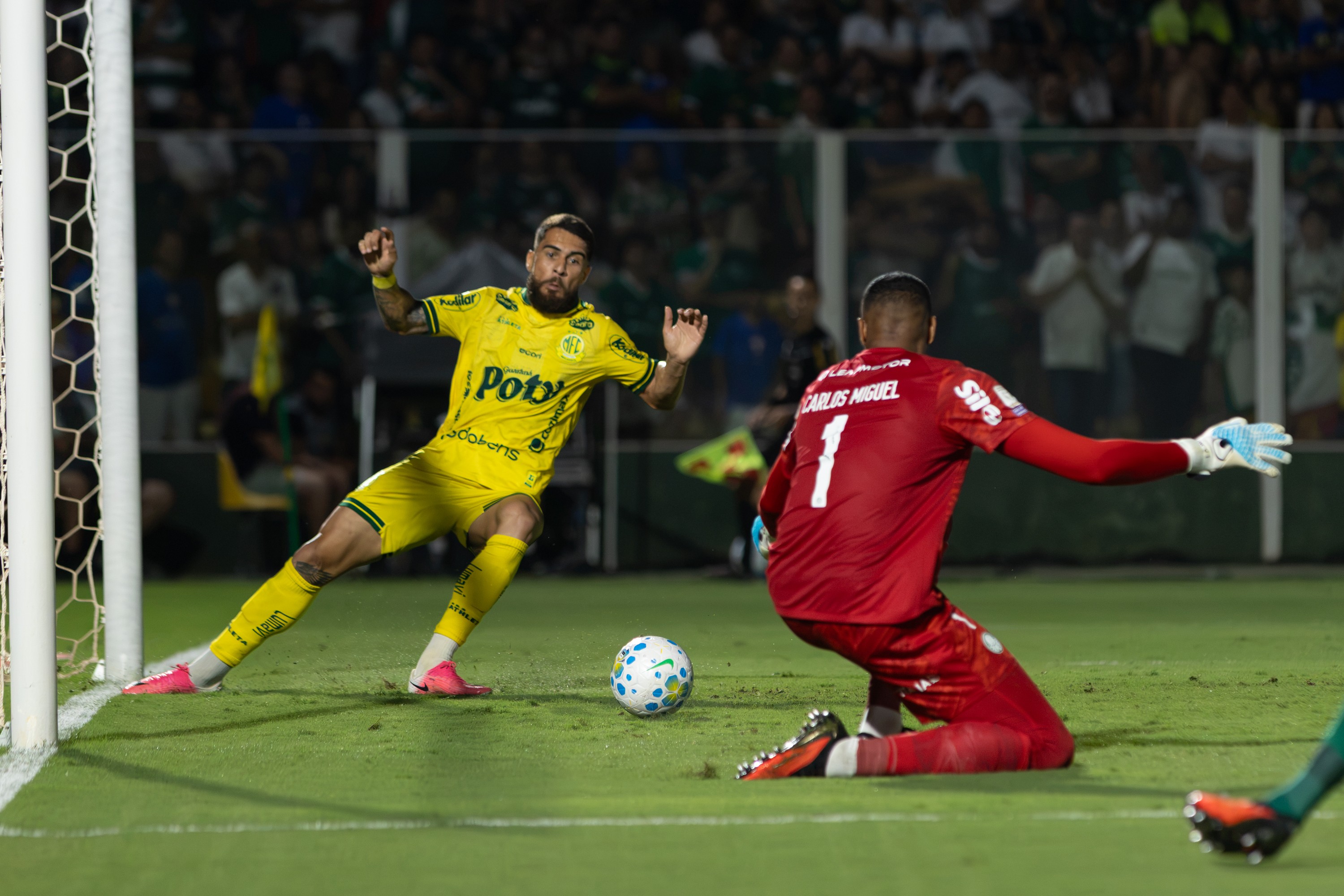 Análise: Mirassol joga melhor que o líder Palmeiras, mas deixa vitória escapar