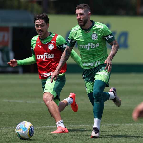 Problema crônico na coluna afeta rendimento de Zé Rafael no Palmeiras em 2024