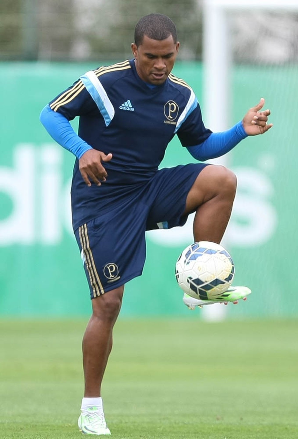 Mazinho Palmeiras — Foto: Cesar Greco/Ag Palmeiras/Divulgação