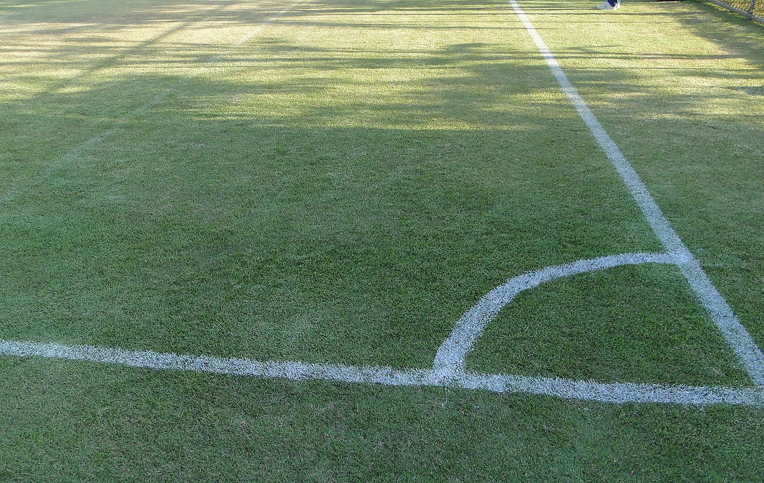 Fenerbahçe de Alex enfrenta Spartak Moscou em gramado sintético