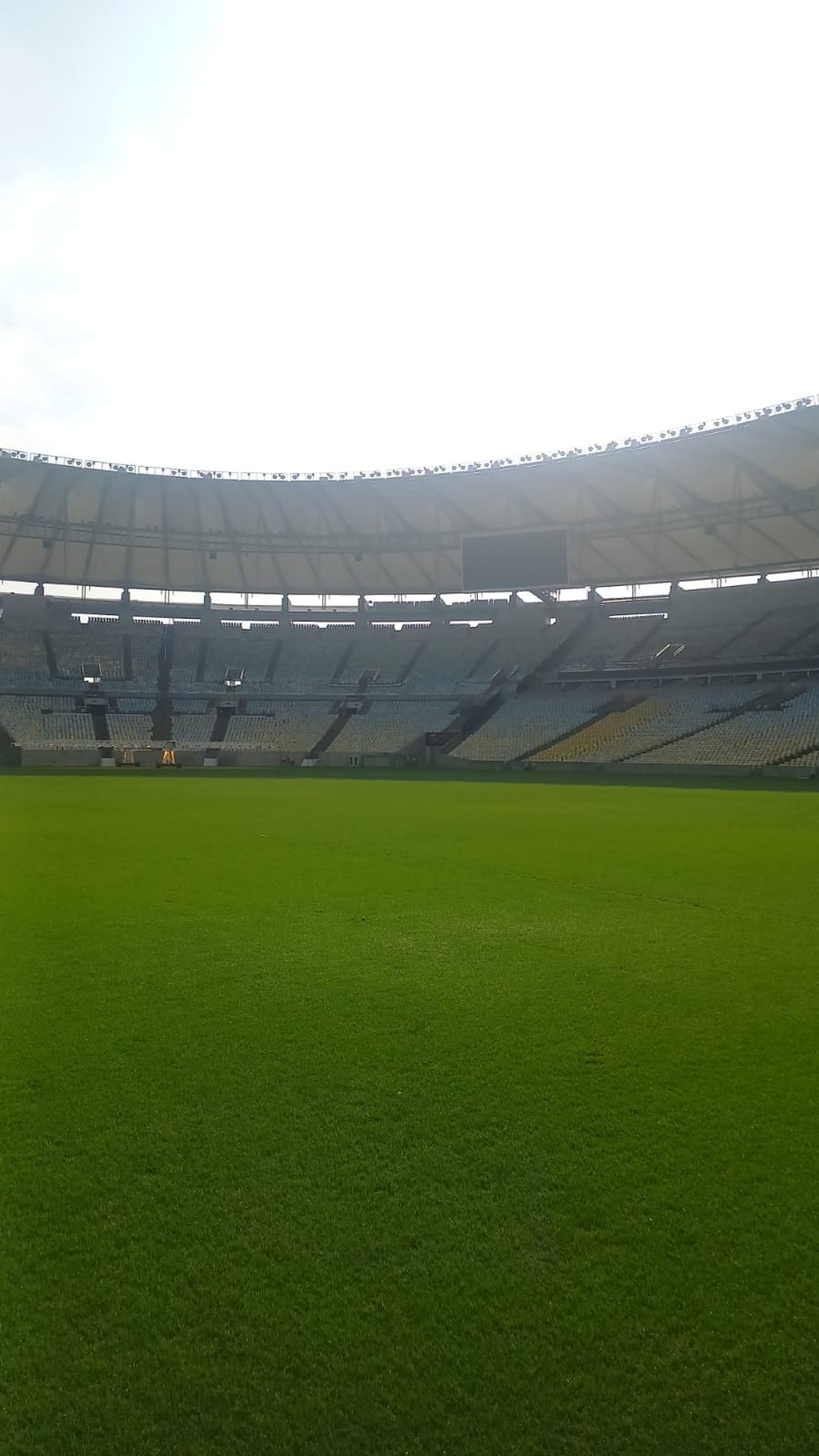 Gramado do Maracanã em recuperação — Foto: Reprodução