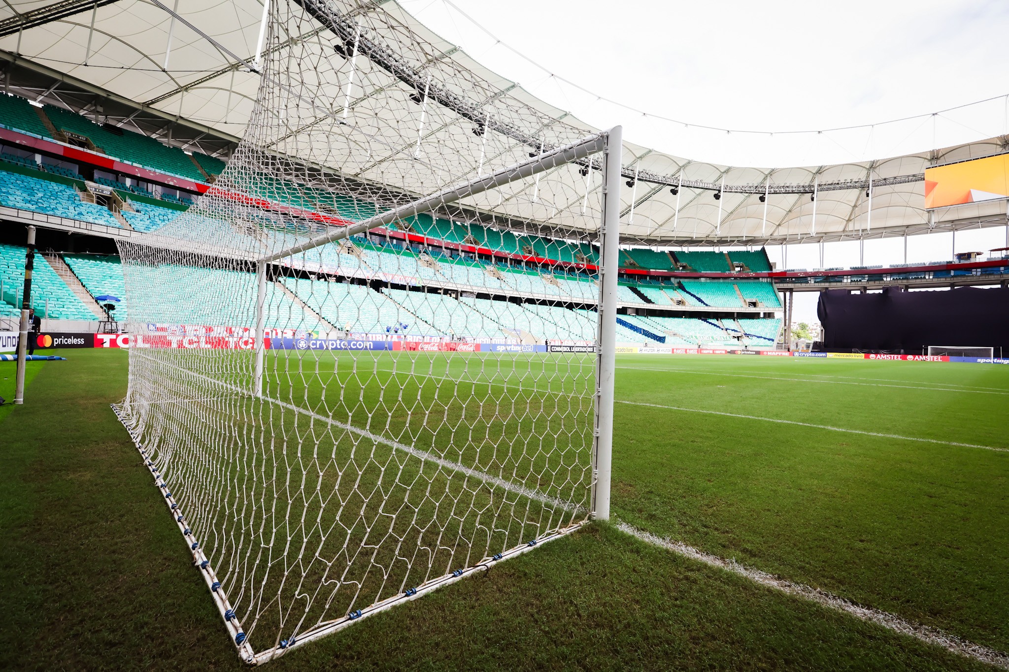 Bahia x Botafogo: onde assistir ao vivo, horário e escalações