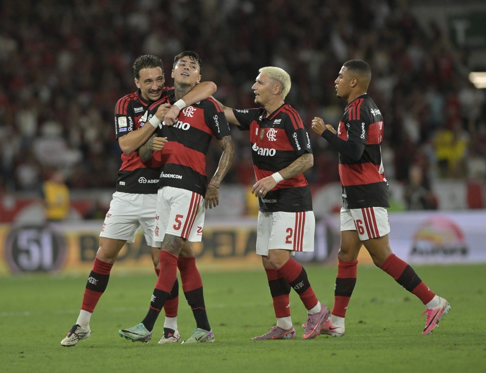 Pulgar comemora gol do Flamengo sobre o Vit�ria � Foto: Andr� Dur�o