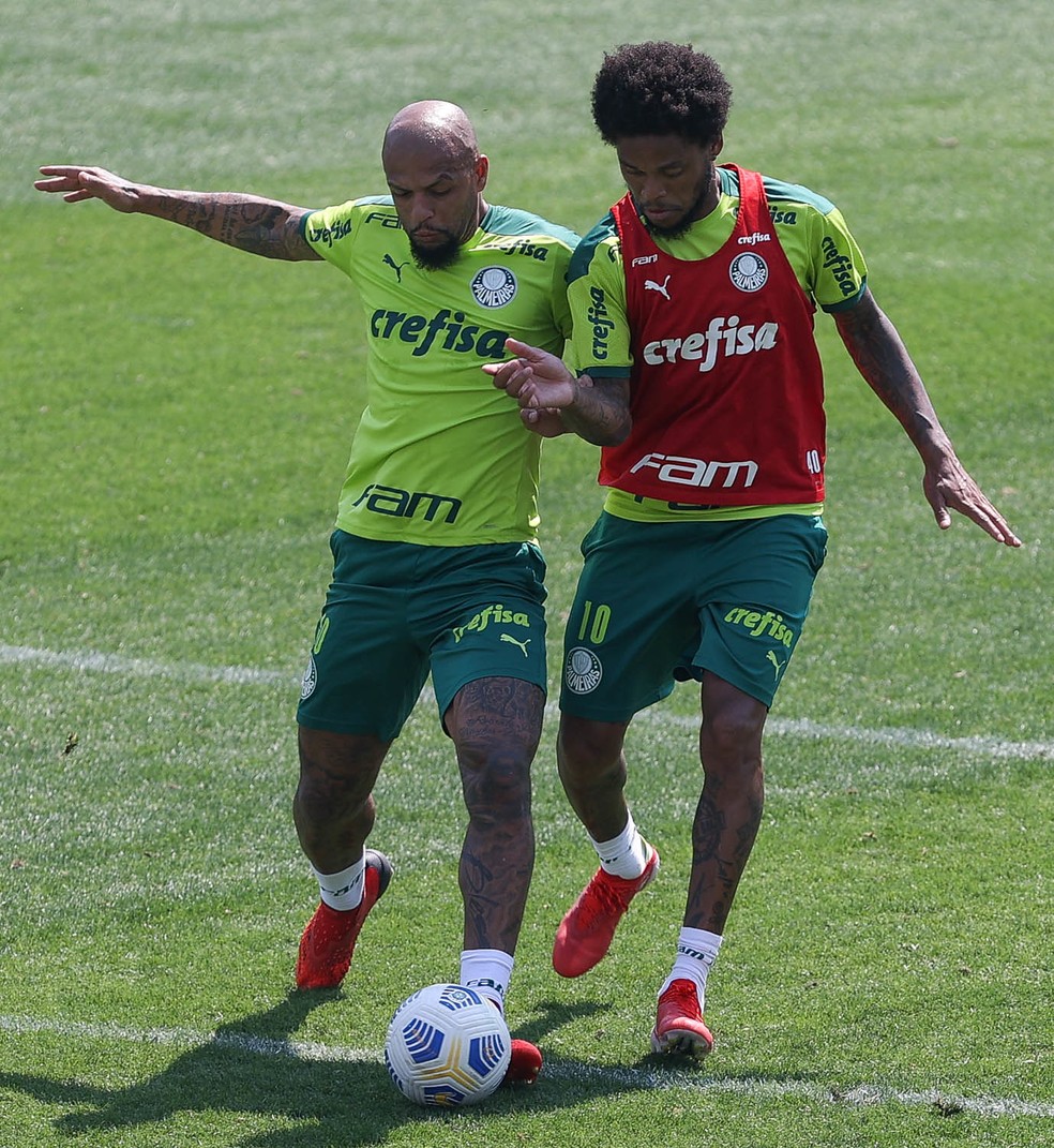 Palmeiras se reapresenta com treino técnico após classificação à