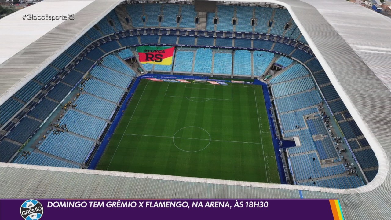 Grêmio joga contra o Flamengo neste domingo pelo Brasileirão