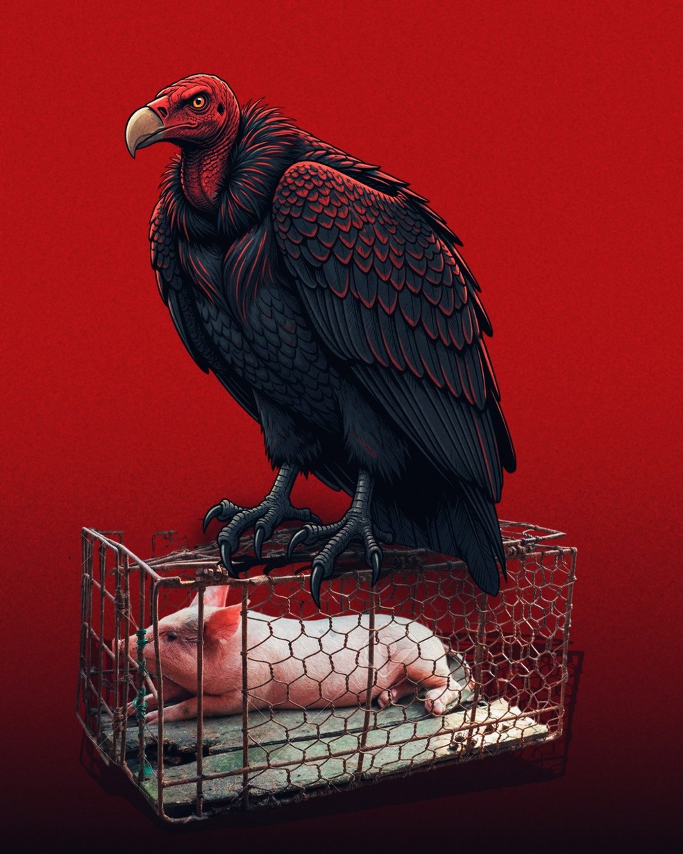 Provocao do Flamengo contra o Palmeiras  Foto: Reproduo