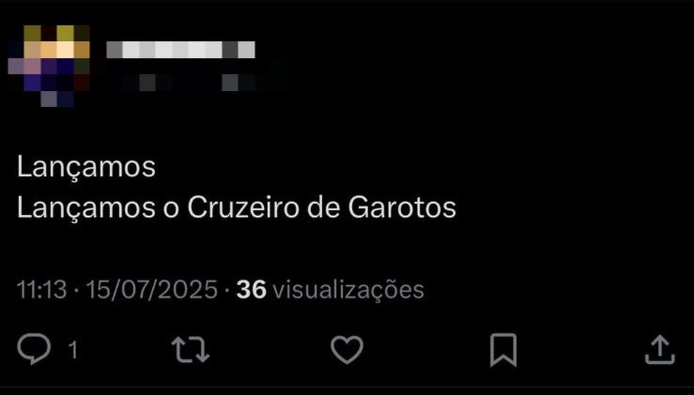 Torcedoras do Cruzeiro criam grupo para irem ao Mineirão com mais segurança e são alvo de misoginia — Foto: Reprodução