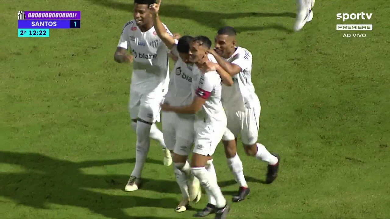 Avaí 0 x 2 Santos | Melhores momentos | 2ª rodada | Campeonato Brasileiro Série B 2024