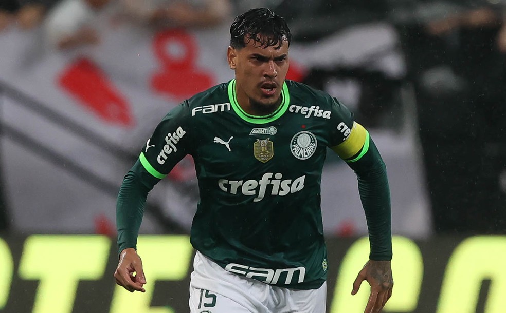 gustavo gomez  Jogadores palmeiras, Maior campeão do brasil, Brasileirao