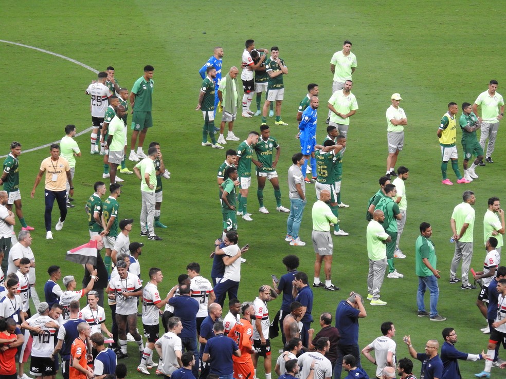 Time do Palmeiras completo em campo aguardando a cerimônia de premiação do São Paulo — Foto: Camila Alves