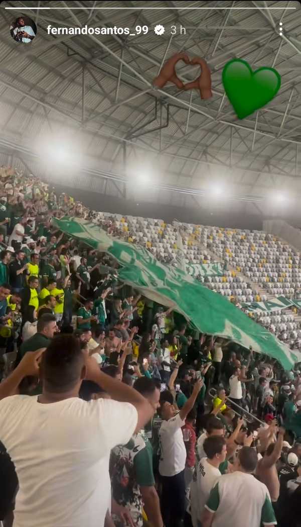 Palmeirense Fernando assiste triunfo do Palmeiras sobre Atlético-MG na arquibancada.