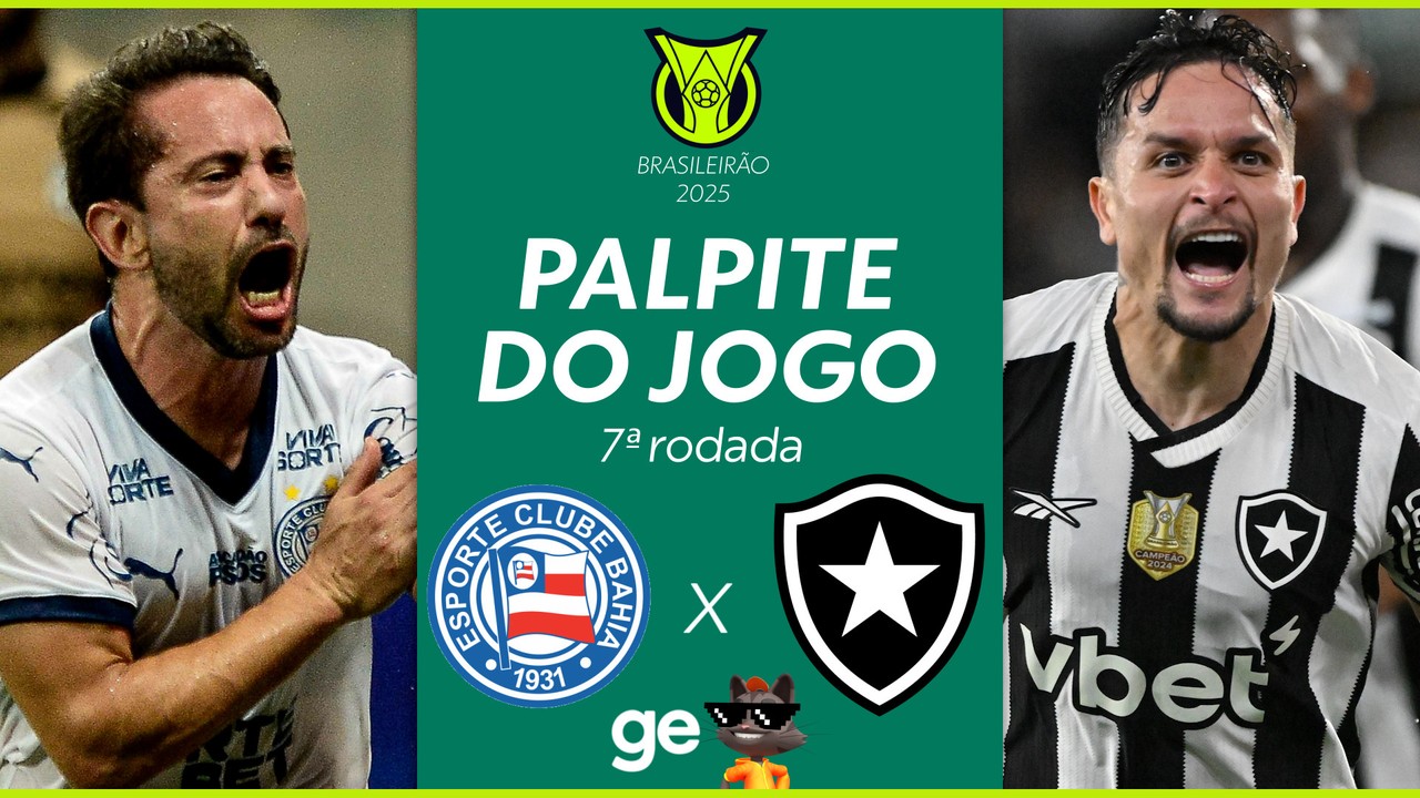 Botafogo em ação no Brasileirão