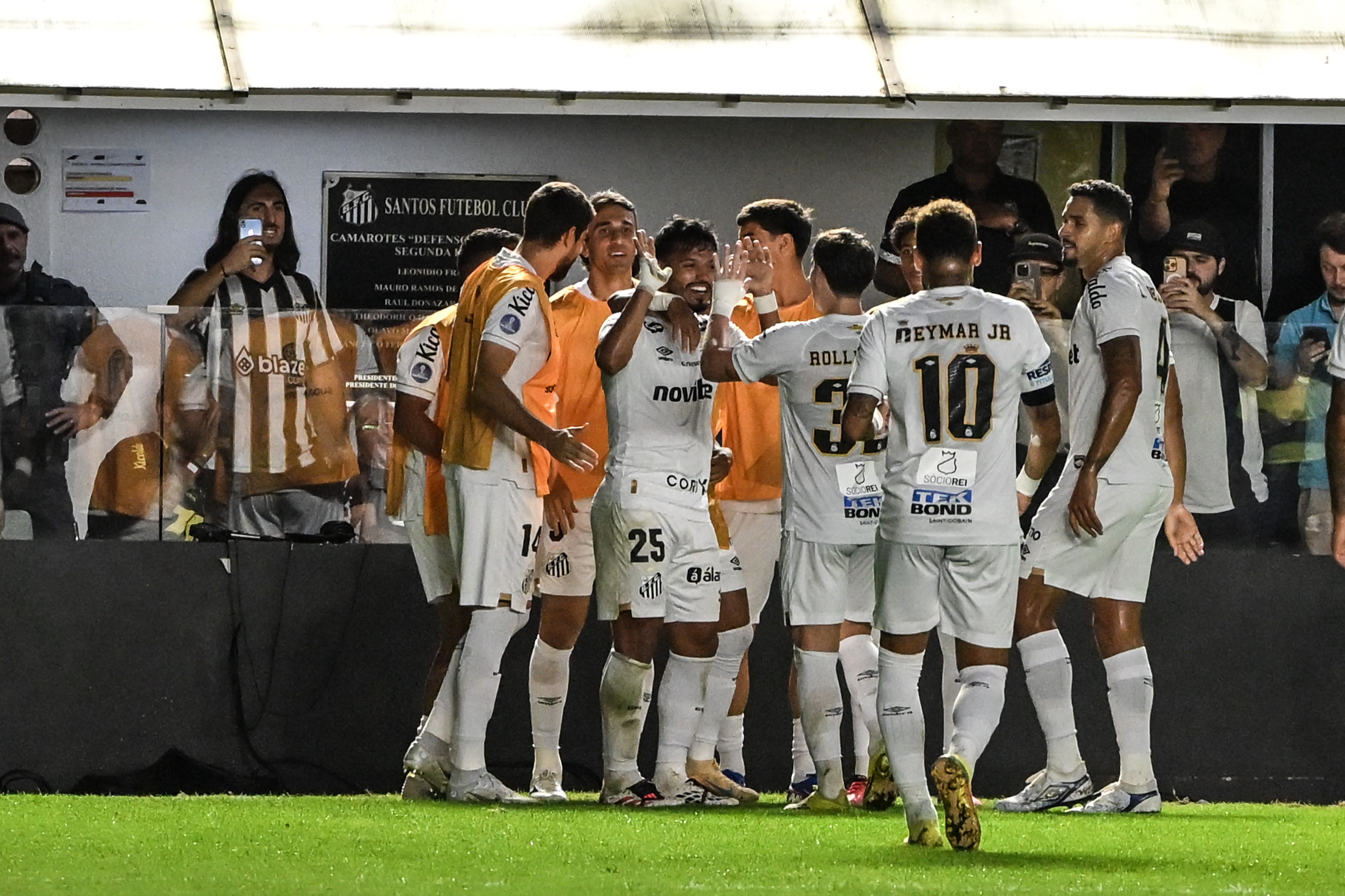 imagem