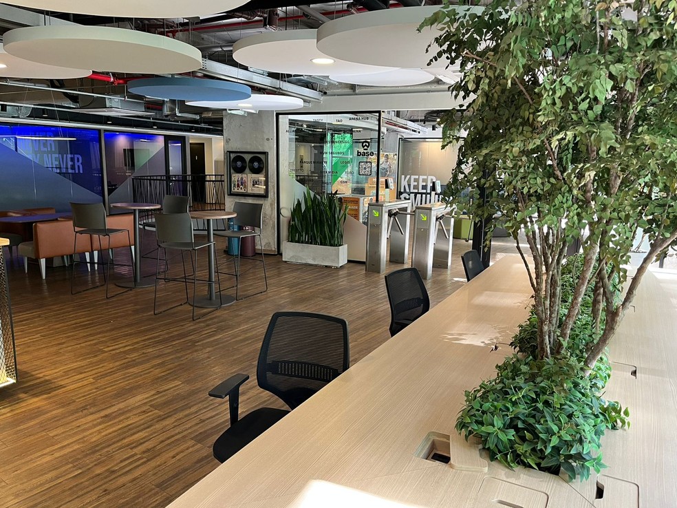 Espaço coworking no estádio do Palmeiras — Foto: Felipe Zito