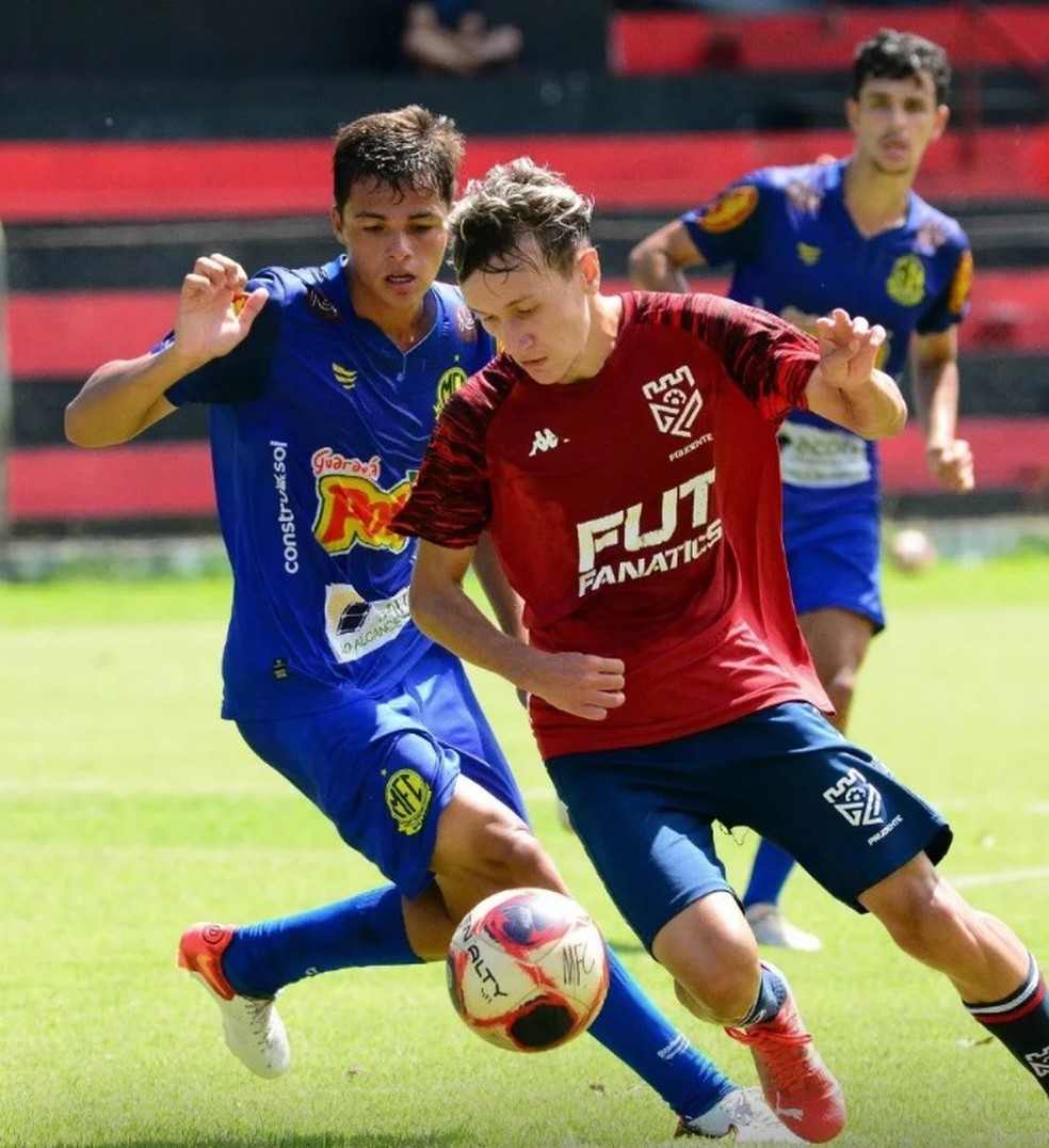 Sub-15 e Sub-17 do Verdão encaram Ponte Preta e Grêmio Prudente pelo  Paulista – Palmeiras
