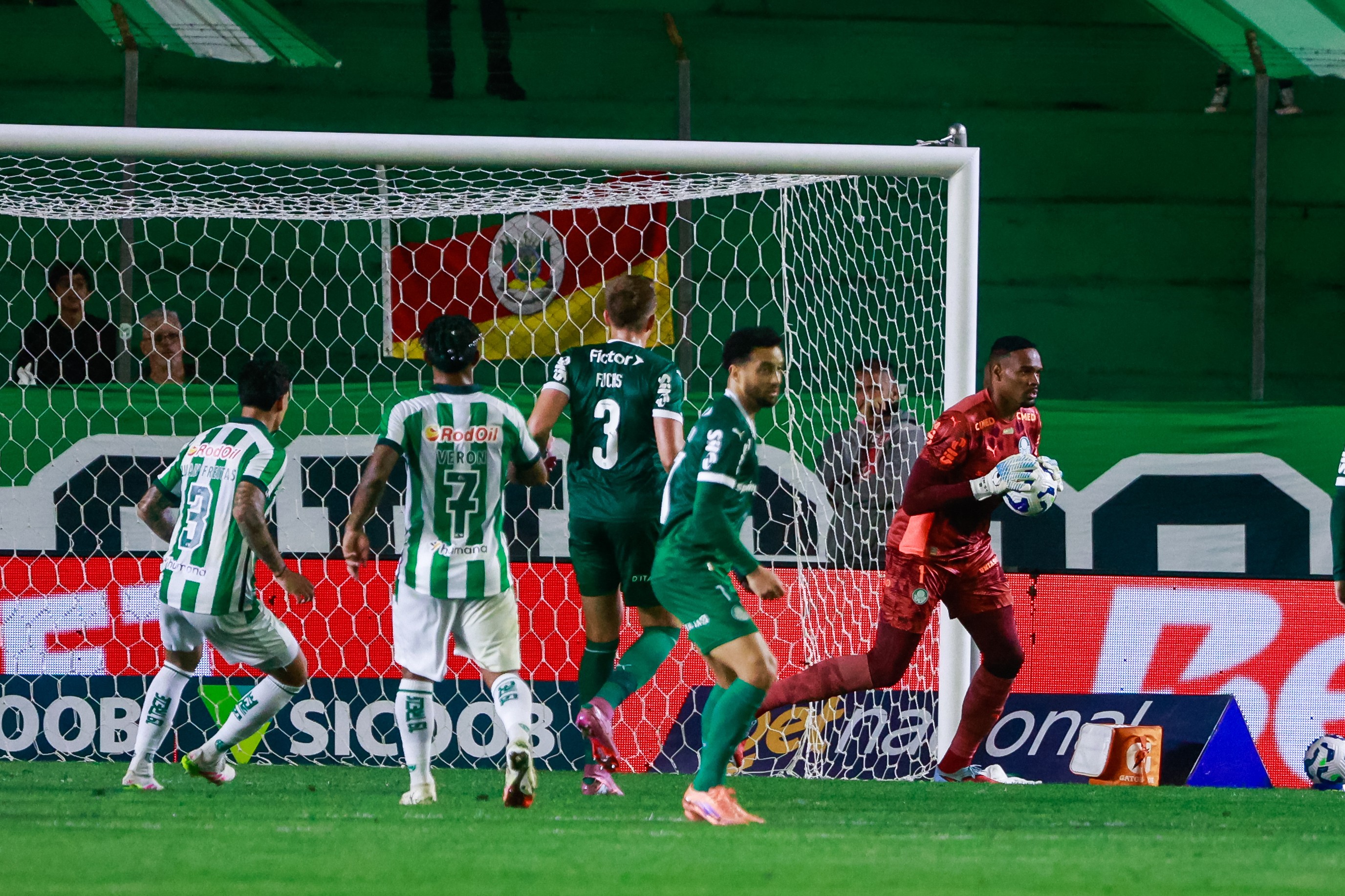 Após vitória do Palmeiras, Carlos Miguel destaca elenco e reafirma: 