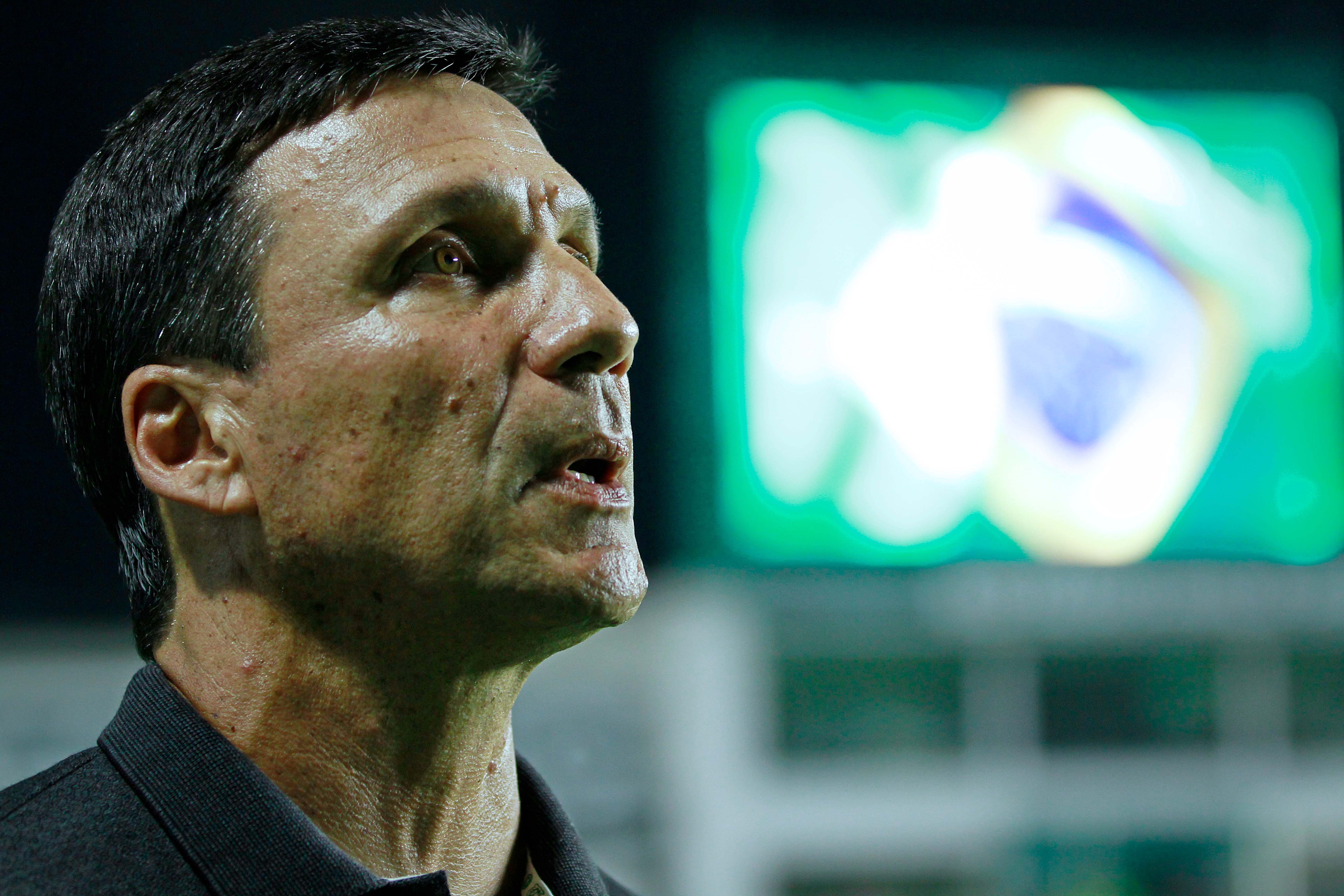 Santa Cruz oficializa Zé Ricardo como técnico para a temporada 2027