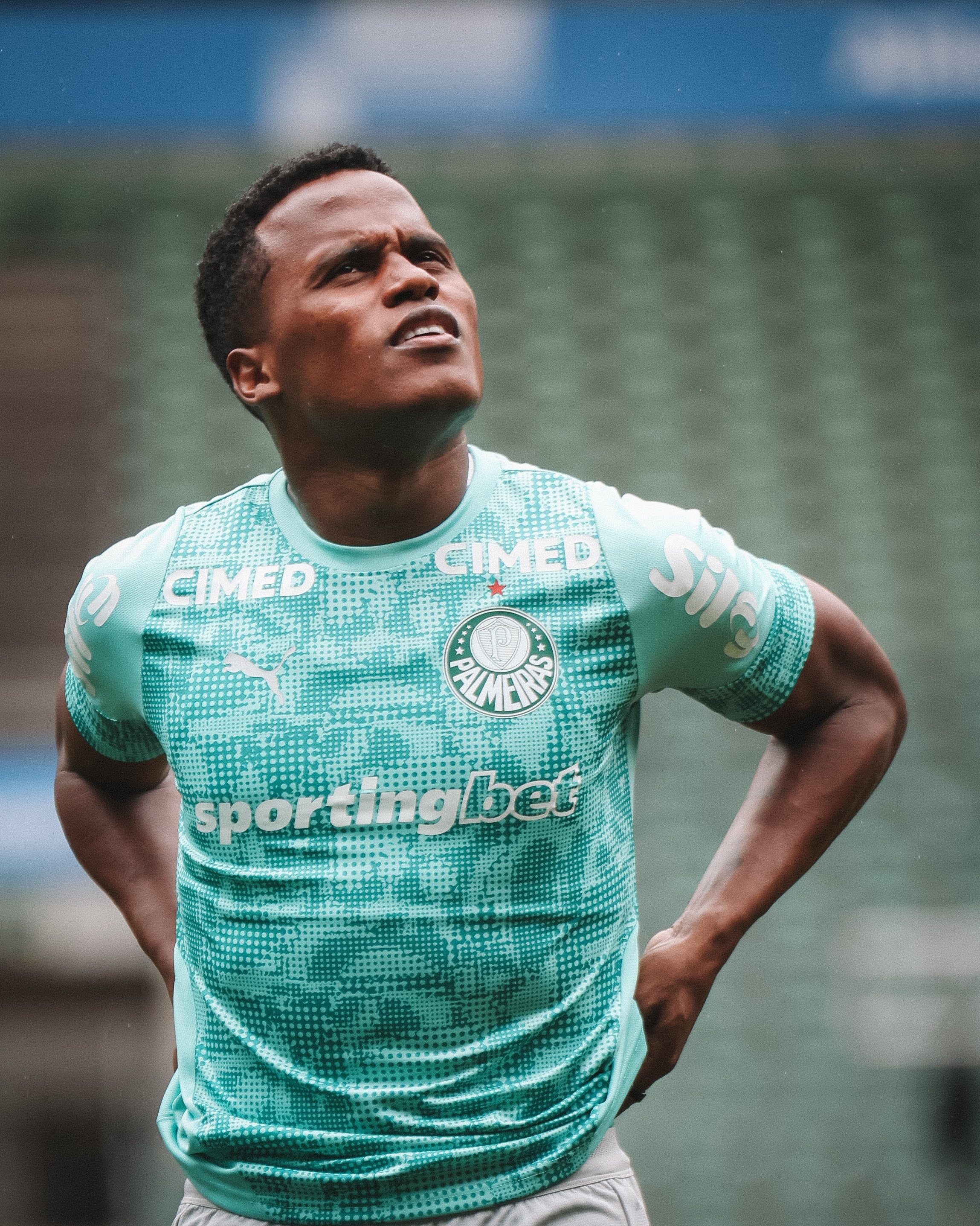 ESCALAÇÃO! Palmeiras pronto para enfrentar o São Paulo no Brasileirão