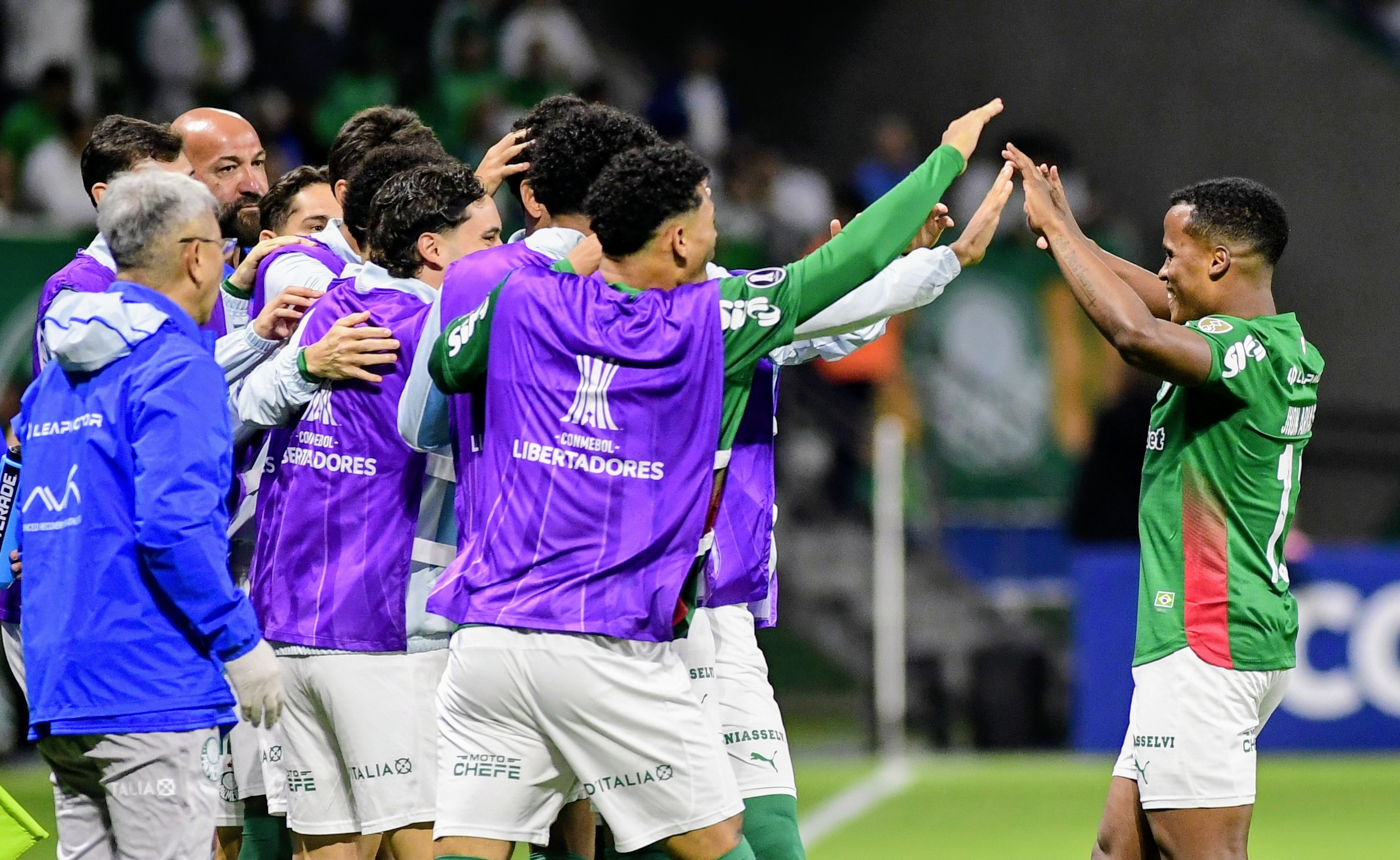 Saiba contra quem o Palmeiras pode jogar na Libertadores