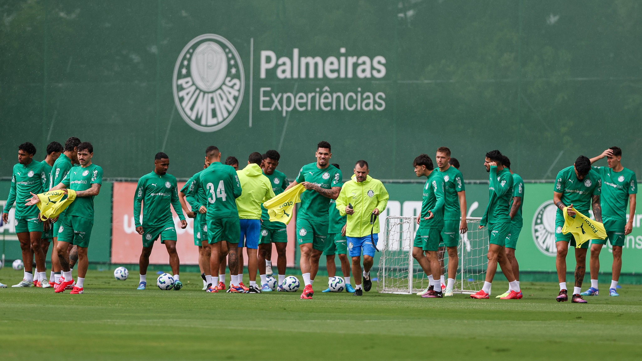 PALMEIRAS SE PREPARA PARA A DISPUTA DA HEGEMONIA! Novos reforços e despedidas marcam início da jornada no Brasileirão 2025!