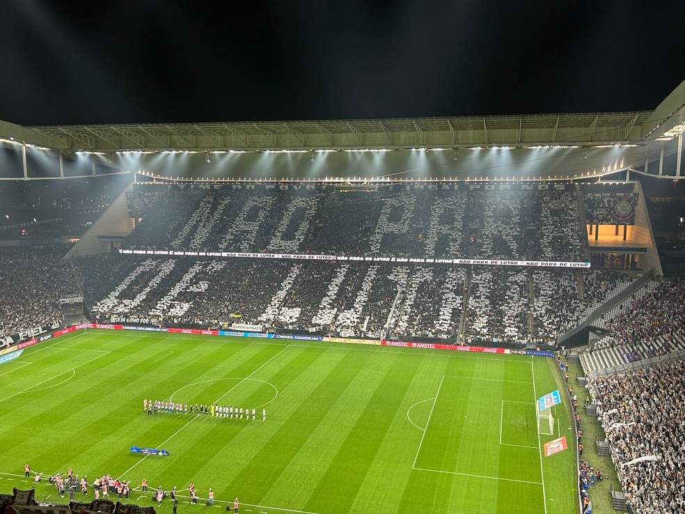 Mosaico da torcida do Corinthians antes do jogo com o Fortaleza — Foto: Marcelo Braga