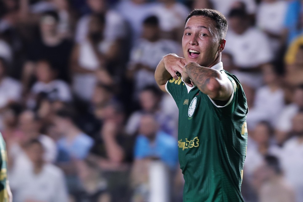 Thalys comemora gol do Palmeiras contra o Santos — Foto: Ettore Chiereguini/AGIF