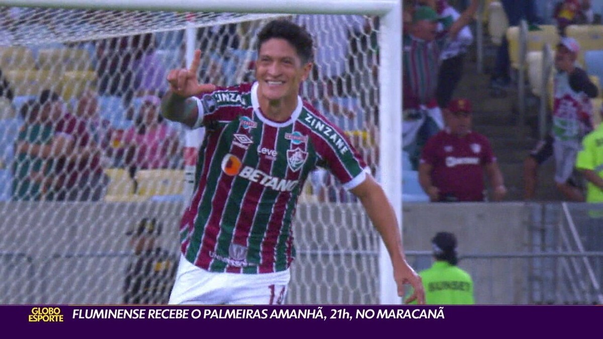 Diniz avalia que Fluminense 'conseguiu fazer um grande jogo' no empate com  Palmeiras - 08/05/2022 - UOL Esporte