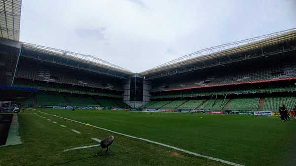 Itabirito x Cruzeiro: Onde assistir, horário e escalações no futebol brasileiro