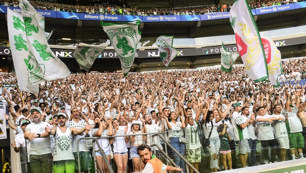Torcedor do Palmeiras paga R$ 20 mil para assistir à final do
