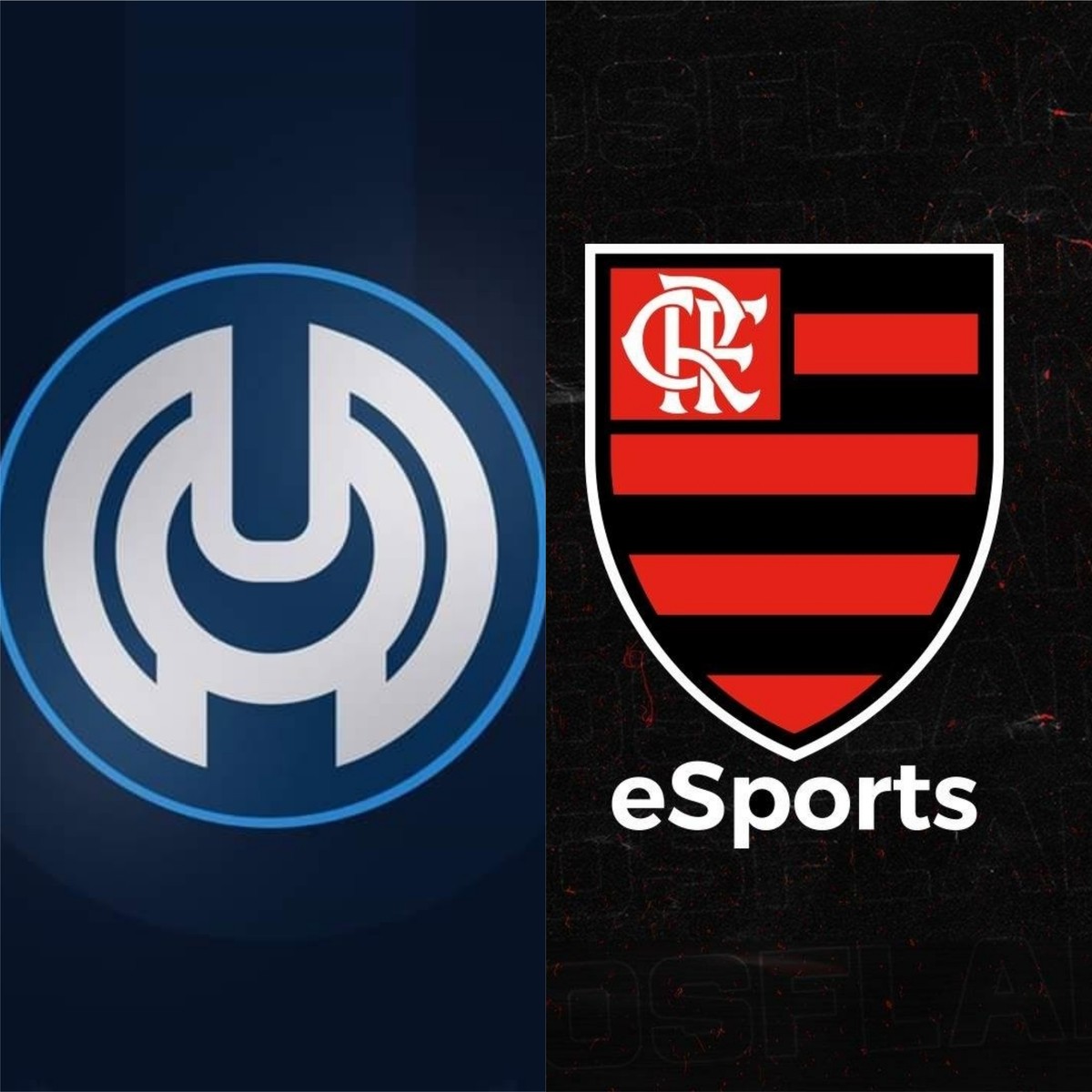Flamengo Esports (LOL), Software