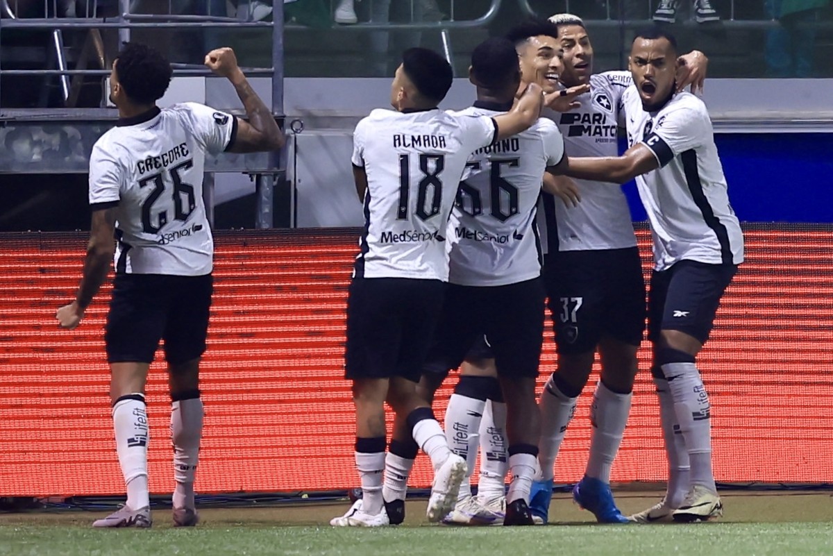 Mais um Duelo Inesquecível entre Botafogo e Palmeiras: Detalhes da Partida Memorável