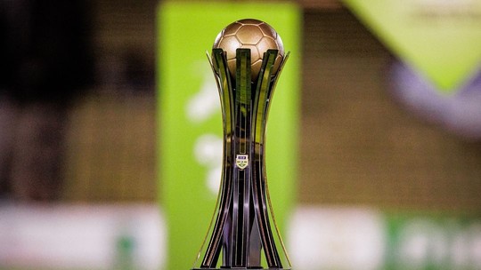 Série B do Campeonato Piauiense 2024: veja números finais e dados da competição - Foto: (Samuel Pereira)