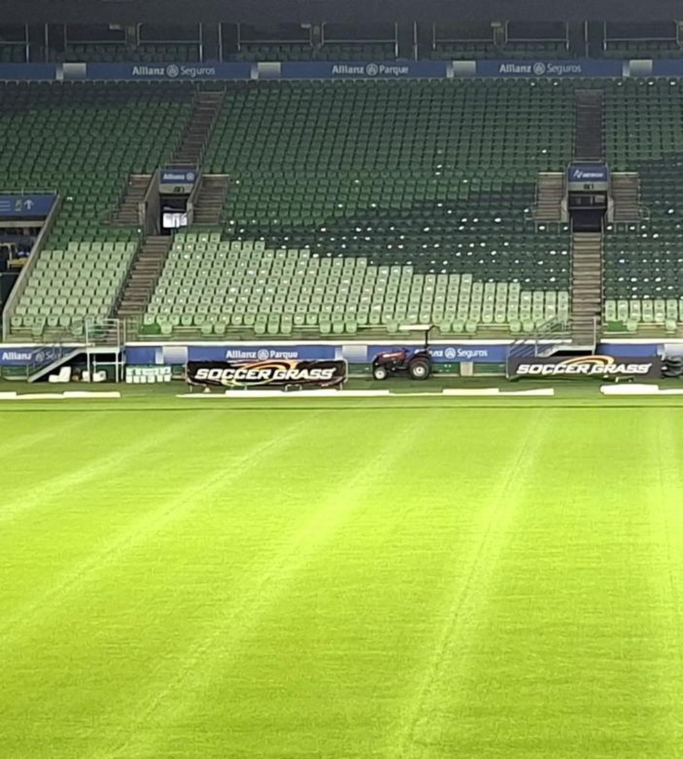 Novo gramado do Allianz Parque entra na fase final de instalação — Foto: Reprodução