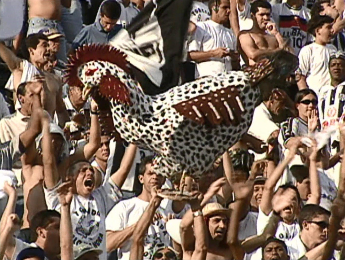 imagem