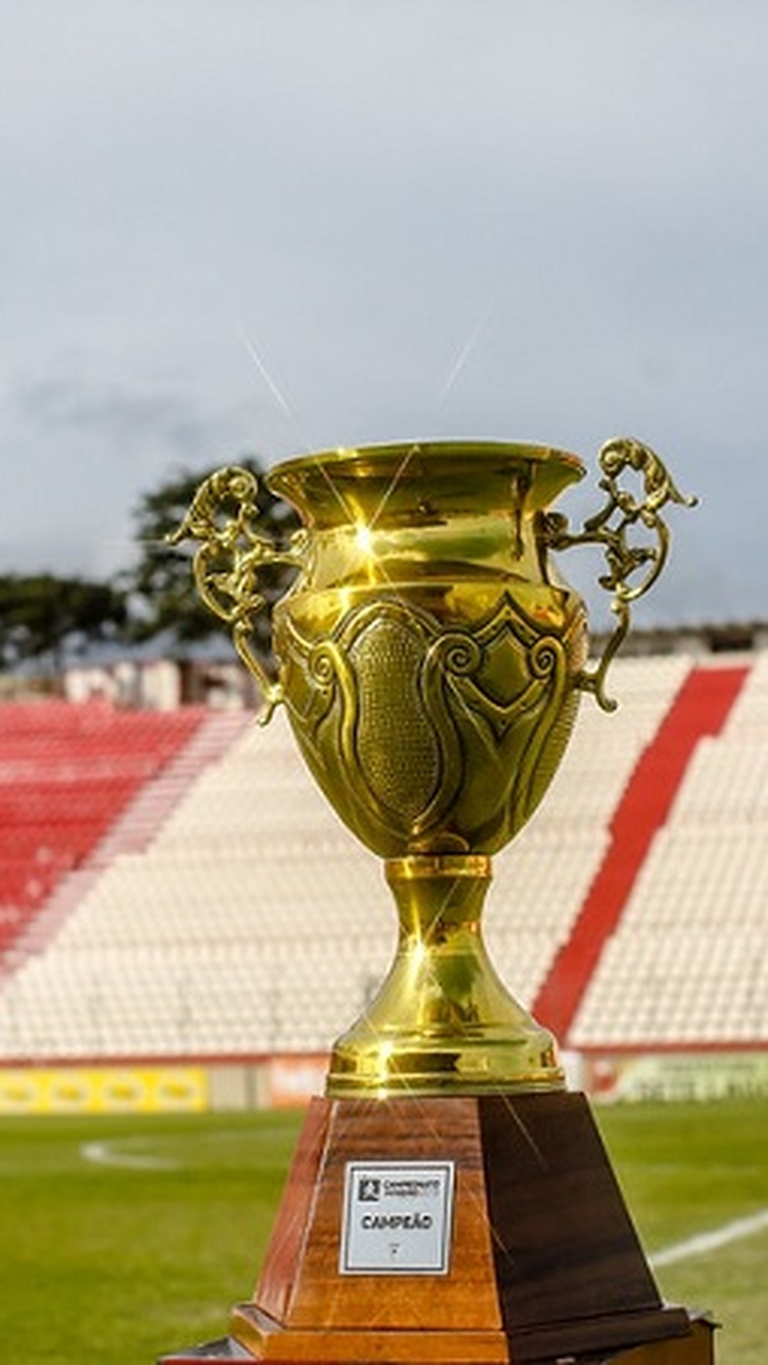 Minas Gerais brilha nas disputas coletivas do JEJ e fecha participação com  28 medalhas