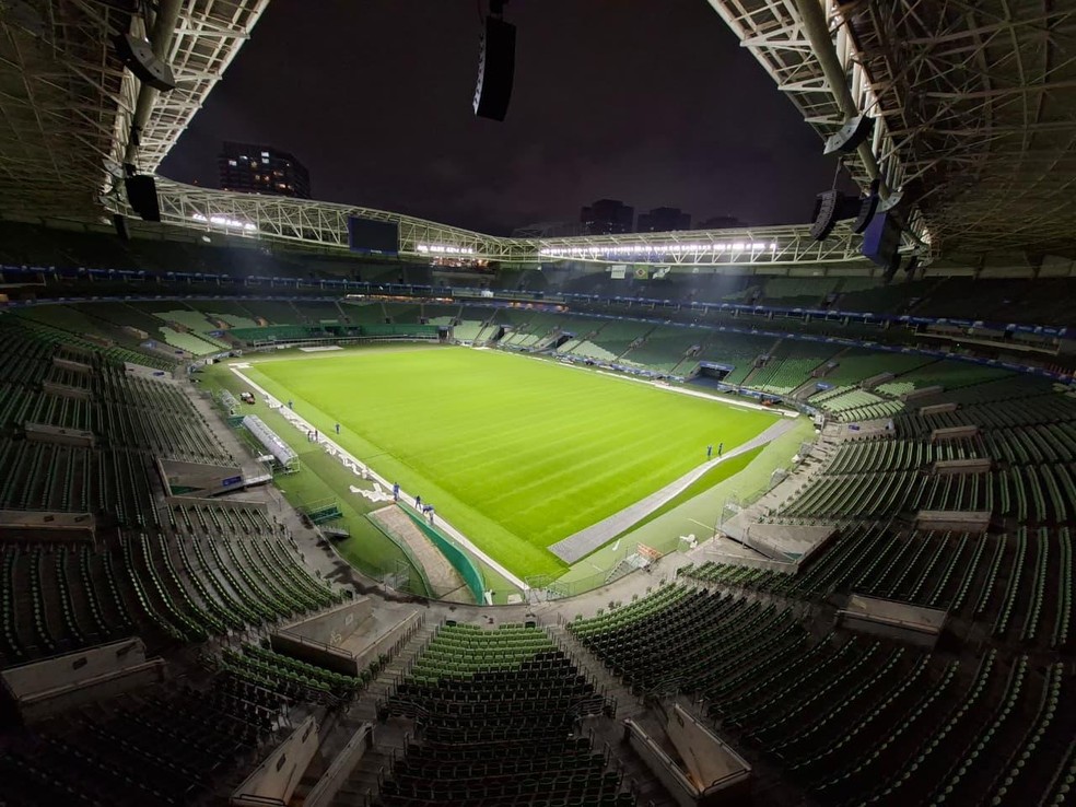 Novo gramado do Allianz Parque entra na fase final de instalação — Foto: Reprodução