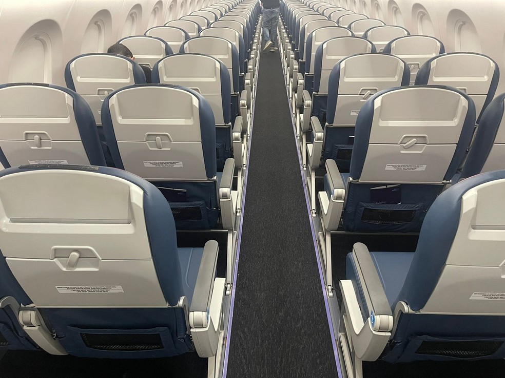 Avião comprado por Leila Pereira será usado nas viagens do Palmeiras — Foto: Thiago Ferri