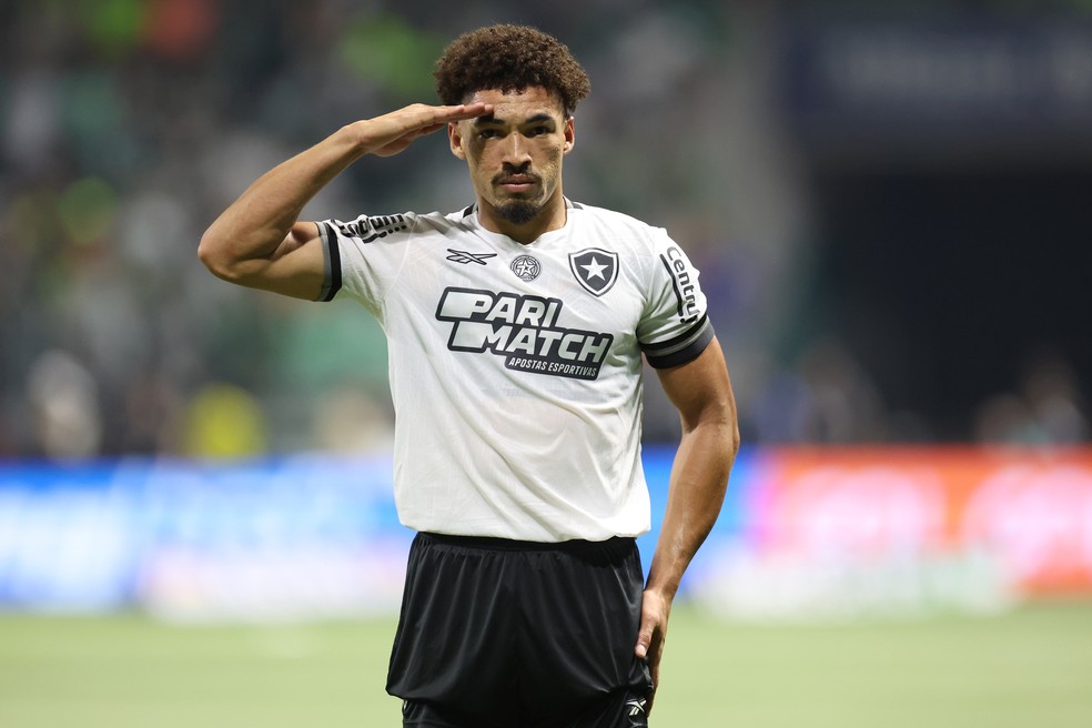 Adryelson em Palmeiras x Botafogo — Foto: Vitor Silva/Botafogo