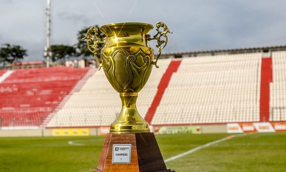 Módulo 2 do Campeonato Mineiro; Troféu — Foto: FMF/Divulgação