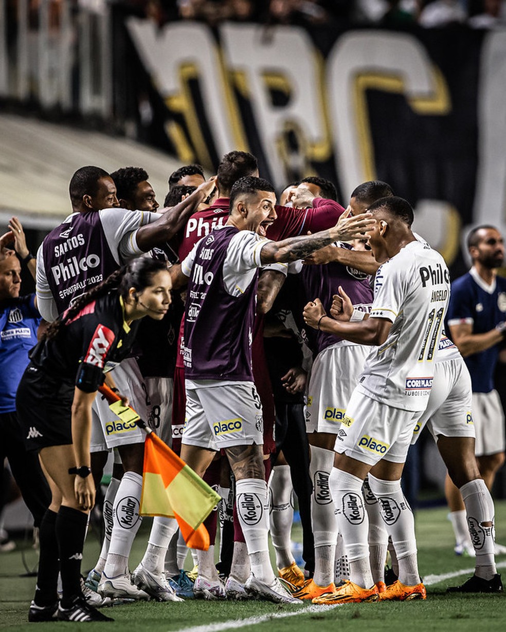 Jogadores do Santos comemoram no jogo entre Santos e Bahia — Foto: Raul Baretta/ Santos FC