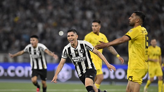 Em noite de massacre, Botafogo mostra as virtudes do melhor time do Brasil e da Amrica na temporada