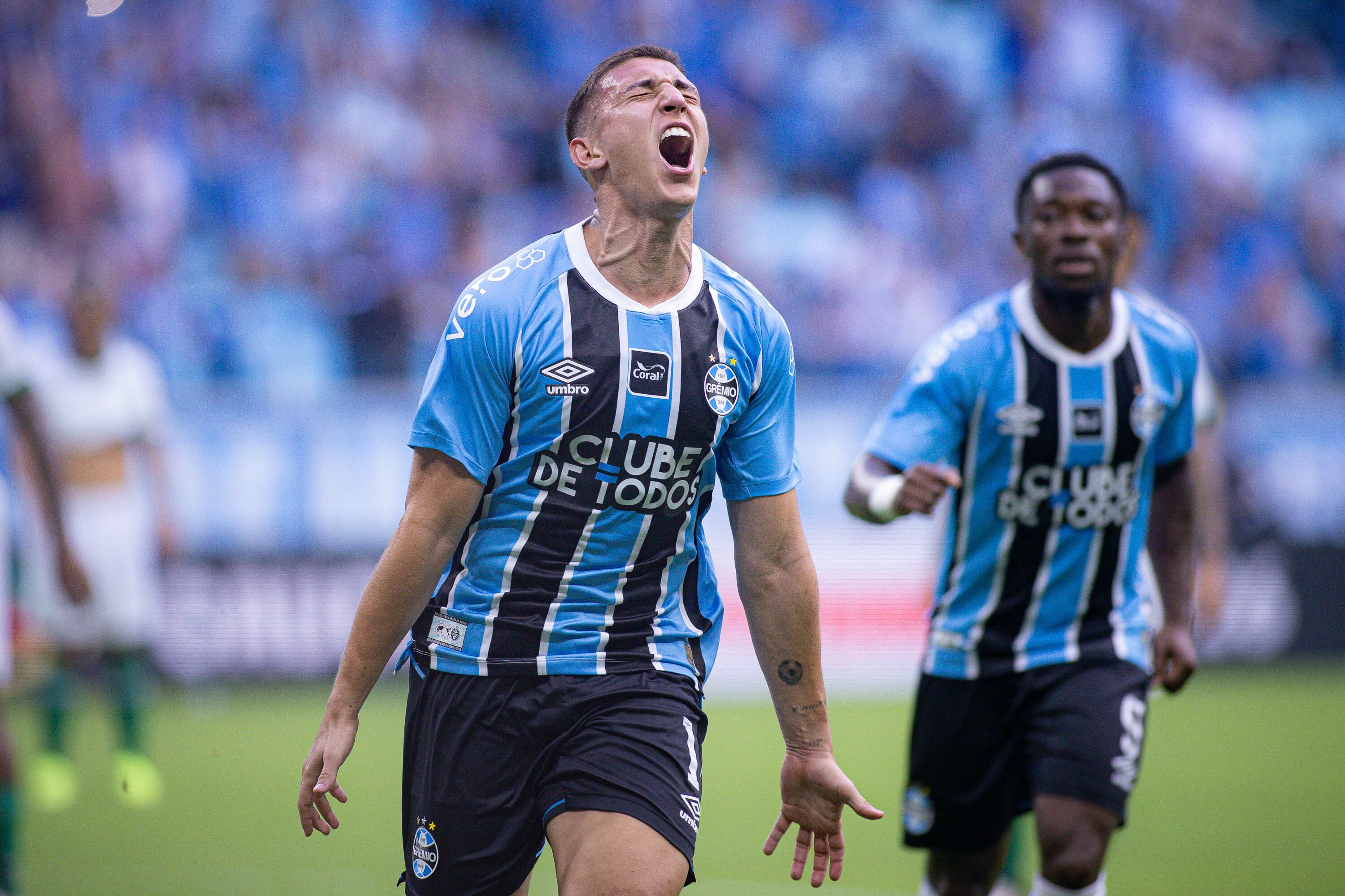 imagem