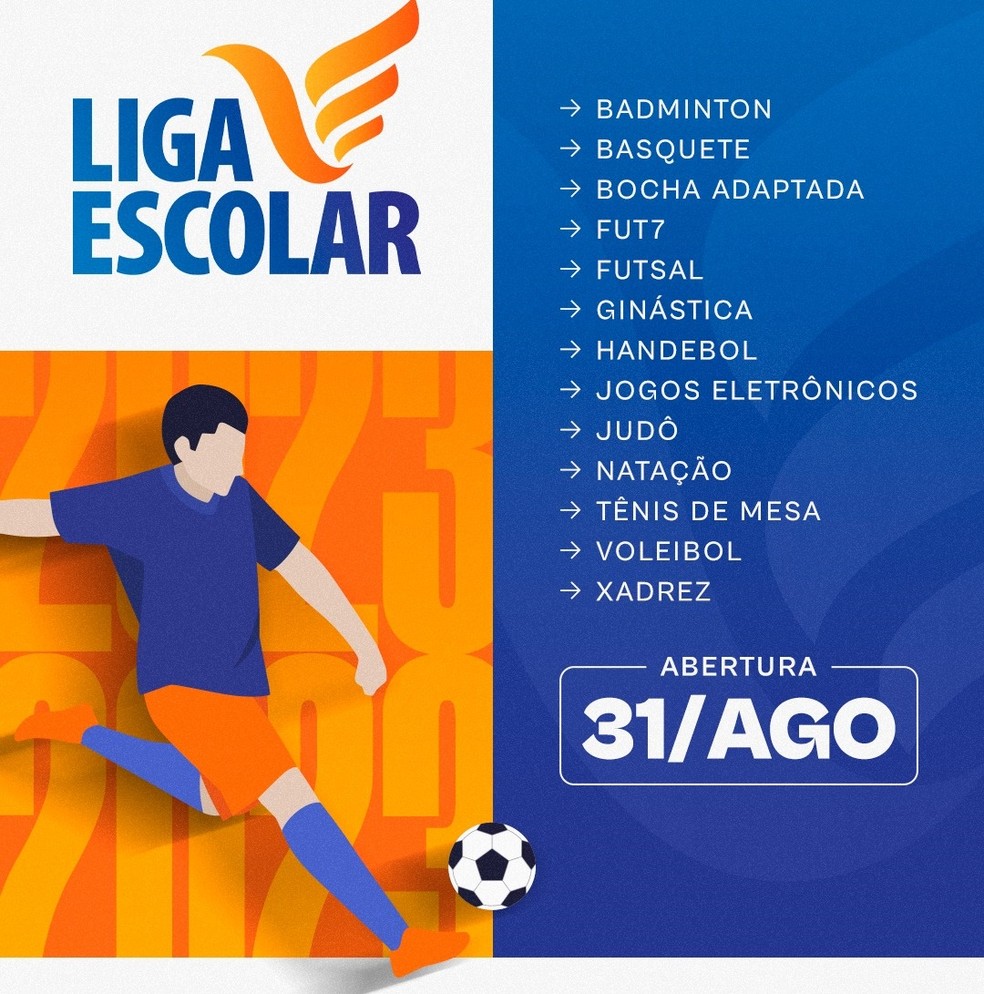 Liga Escolar Brasileira de Esports