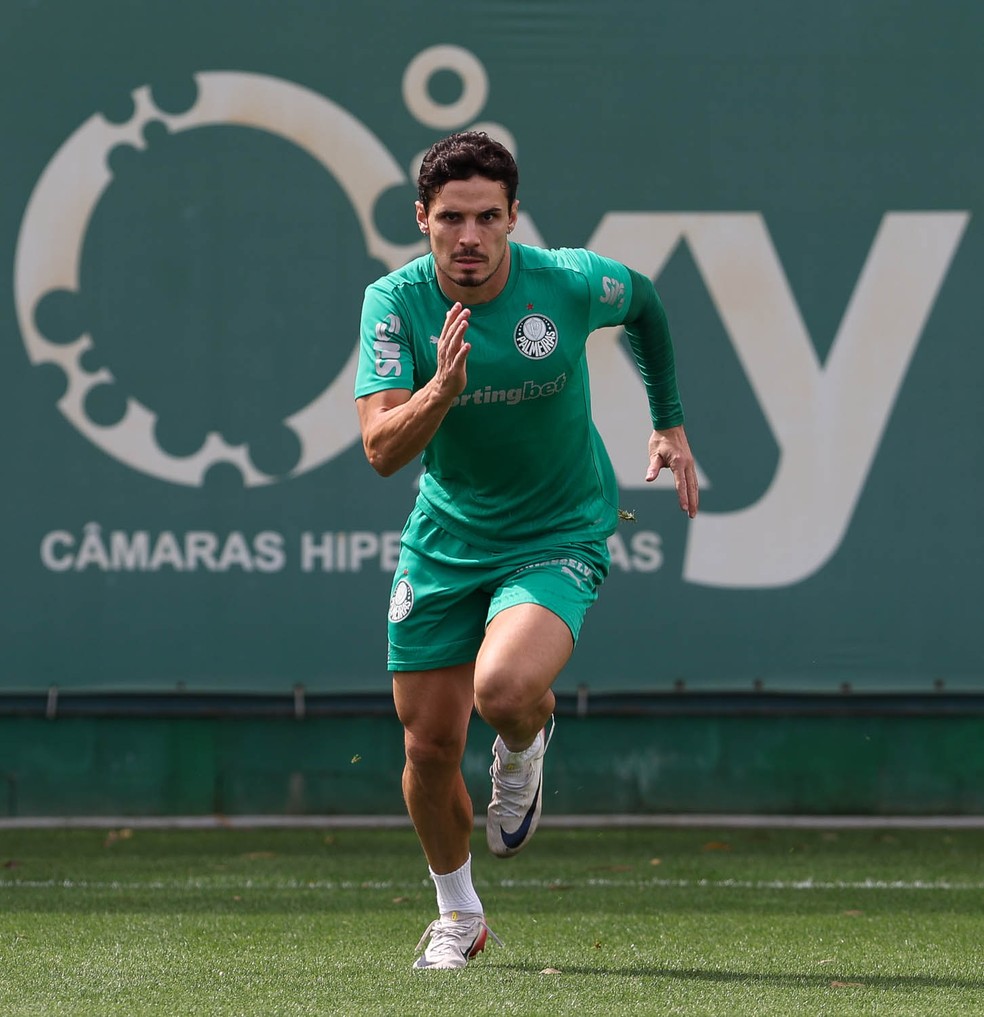 Andreas Pereira faz primeiro treino pelo Palmeiras, e Veiga inicia transição física