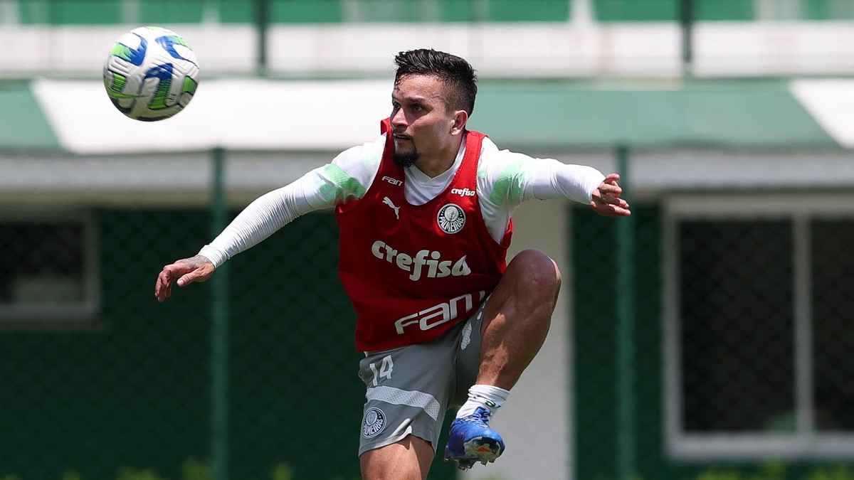 Com empate do Botafogo, Palmeiras confirma liderança do Brasileirão  restando quatro rodadas