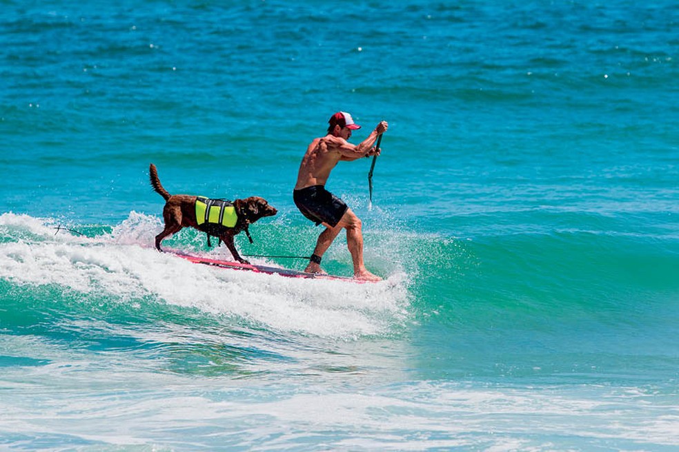 Bono surf &mdash; Foto: Bono e Ivan, perfeita sincronia na &aacute;gua - Foto: divulga&ccedil;&atilde;o.