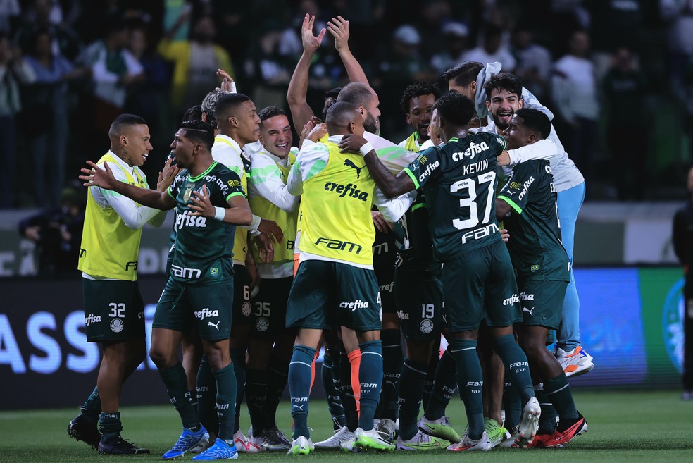 Palmeiras aproveita tropeços do Botafogo e encurta distância — Foto: Ettore Chiereguini/AGIF