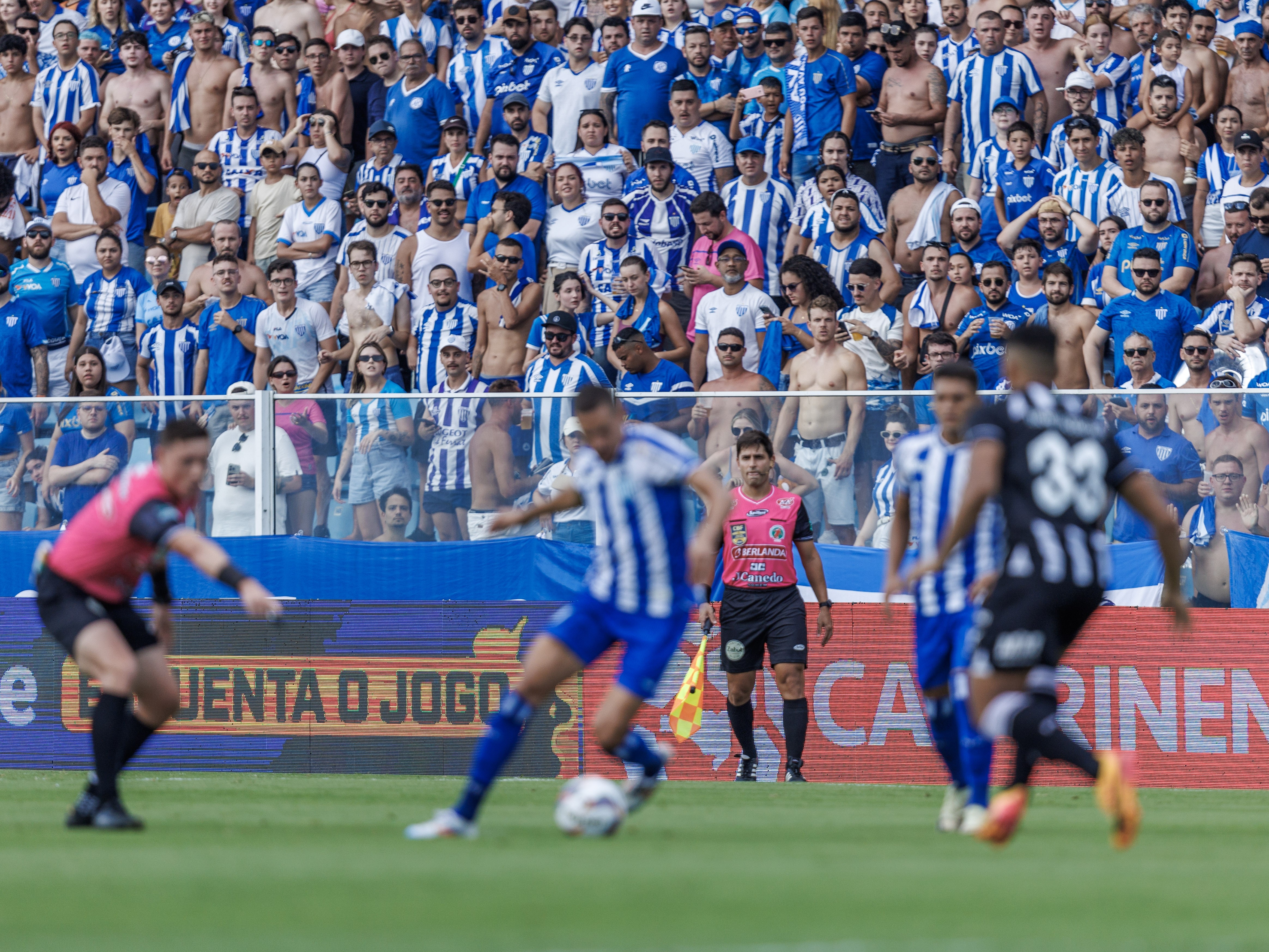 Avaí x Figueirense tem ingressos a R$ 80 para visitantes e promoção ...